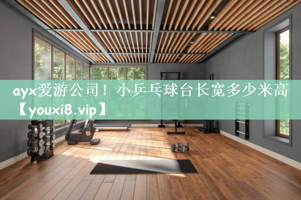 ayx爱游公司！小乒乓球台长宽多少米高