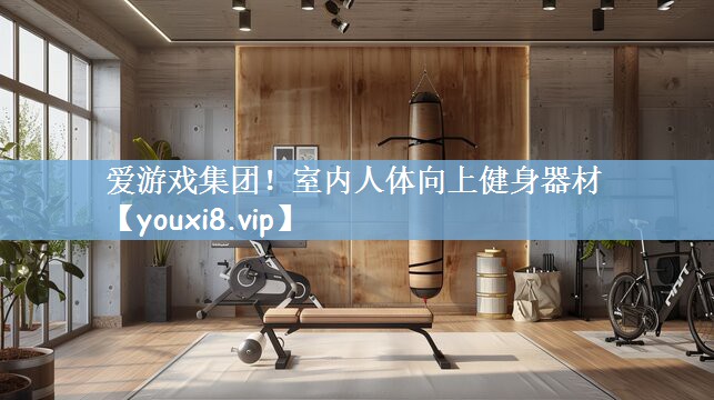 爱游戏集团！室内人体向上健身器材