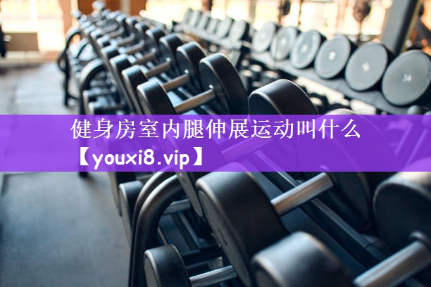 健身房室内腿伸展运动叫什么