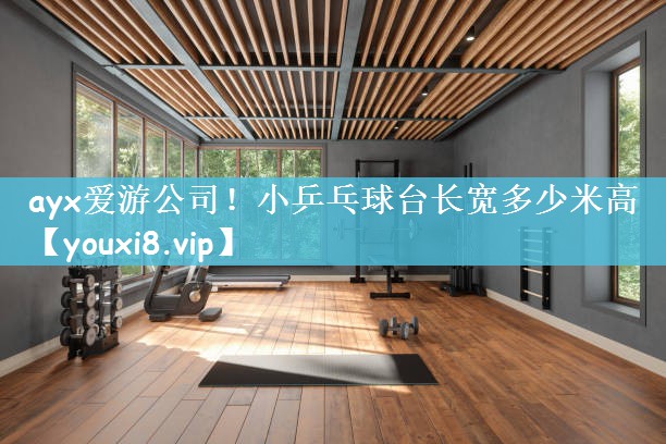 小乒乓球台长宽多少米高