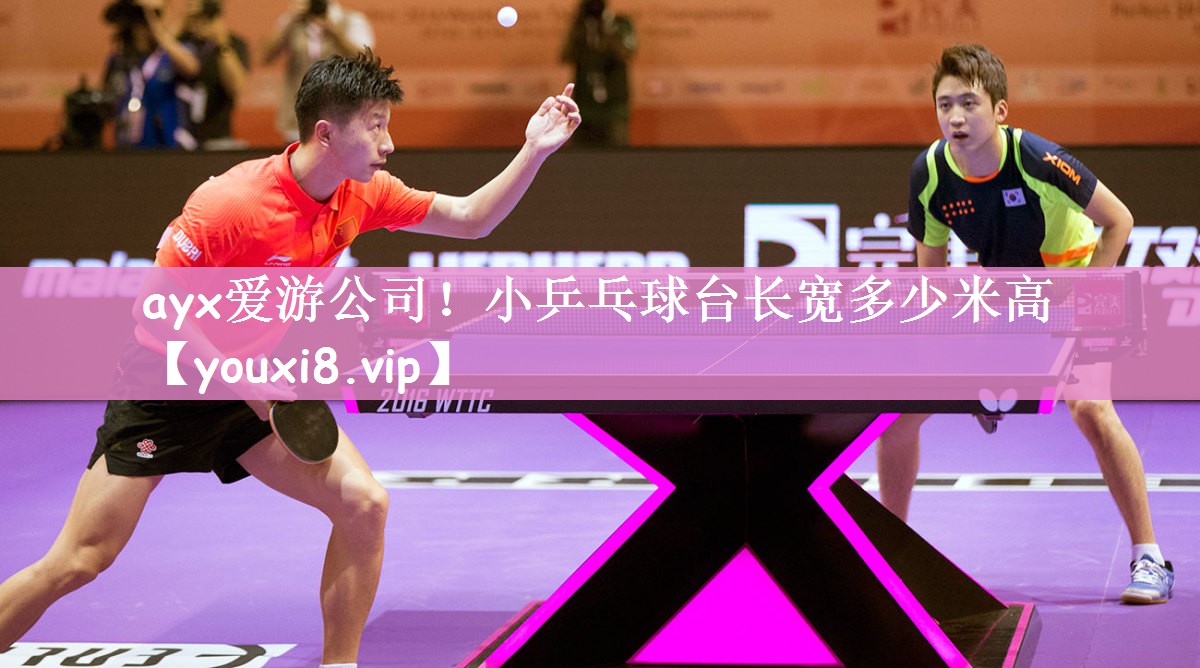 小乒乓球台长宽多少米高