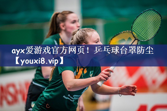 乒乓球台罩防尘