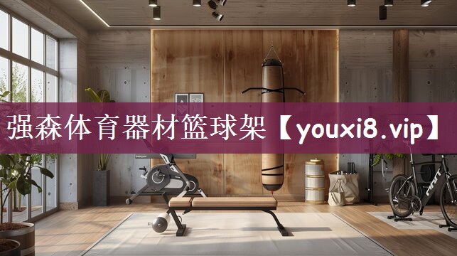 强森体育器材篮球架