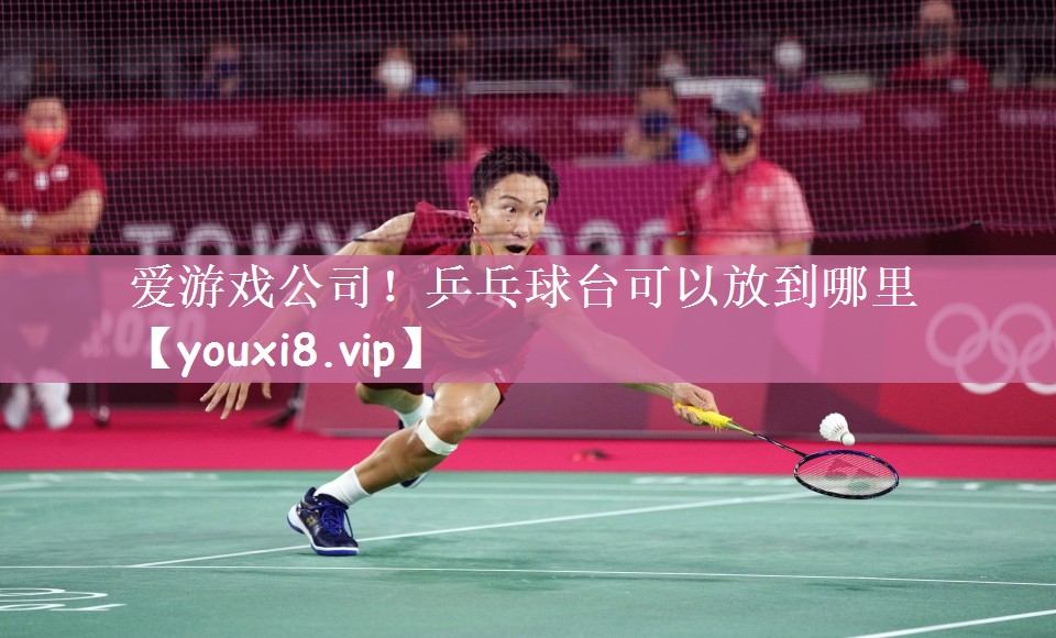 乒乓球台可以放到哪里